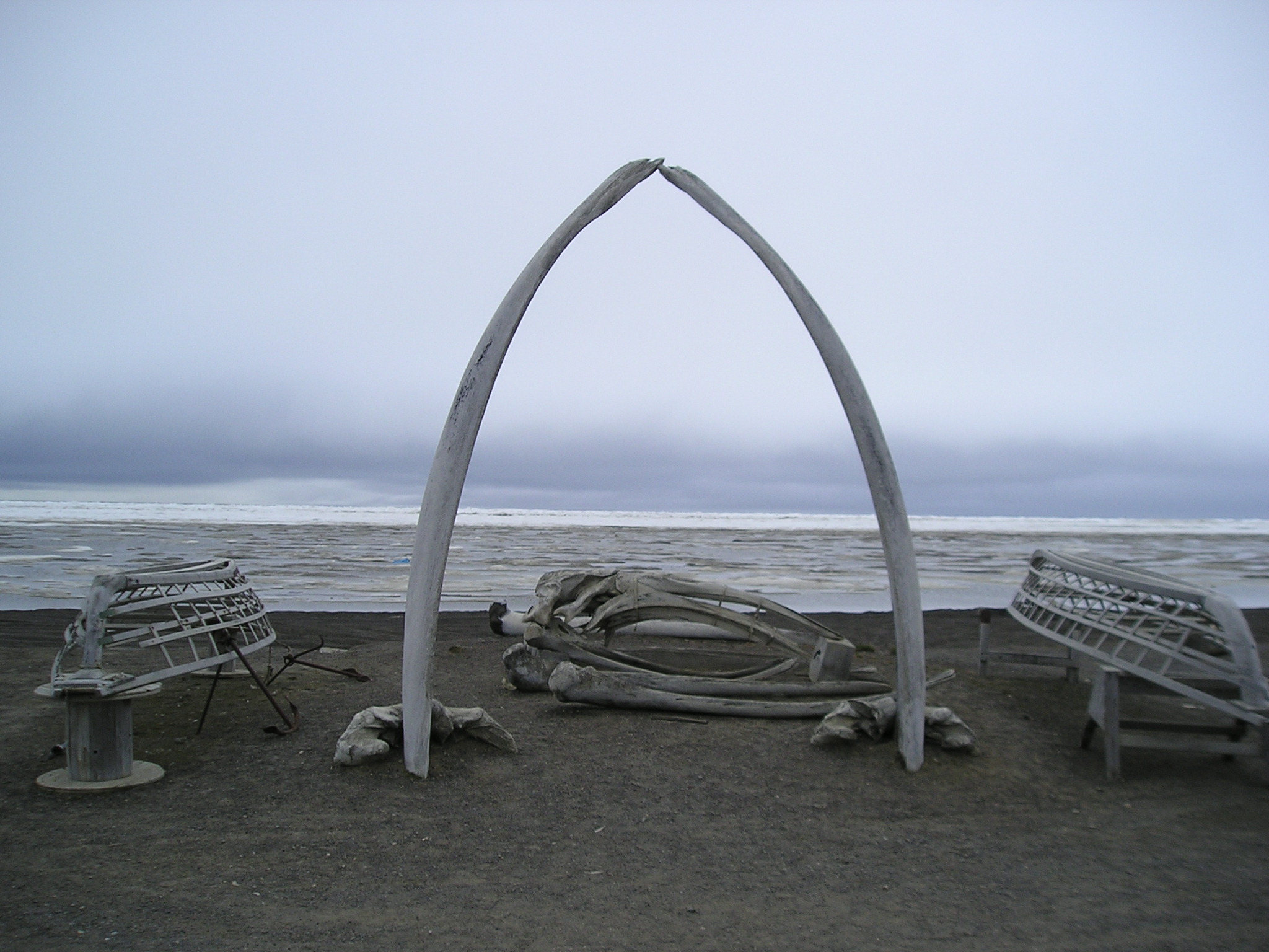 barrow alaska tours