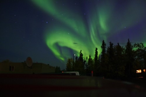 arctic circle fly & drive tour from fairbanks